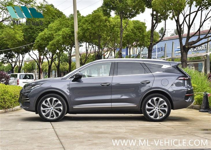 BYD Denza N8
