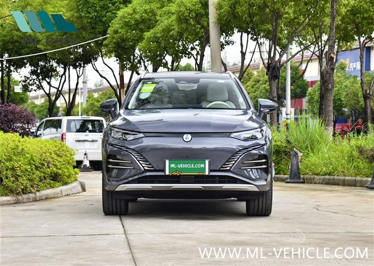 BYD Denza N8