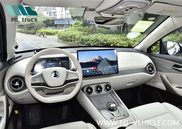 BYD Denza N8