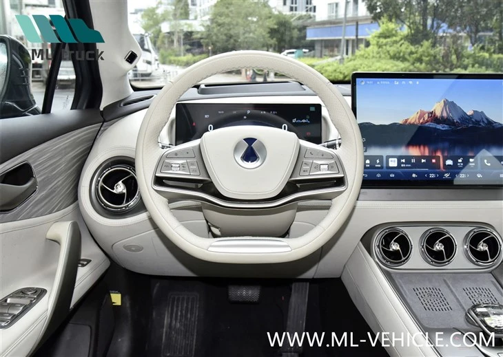 BYD Denza N8
