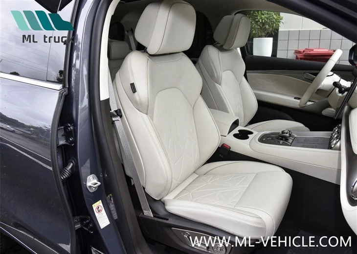 BYD Denza N8