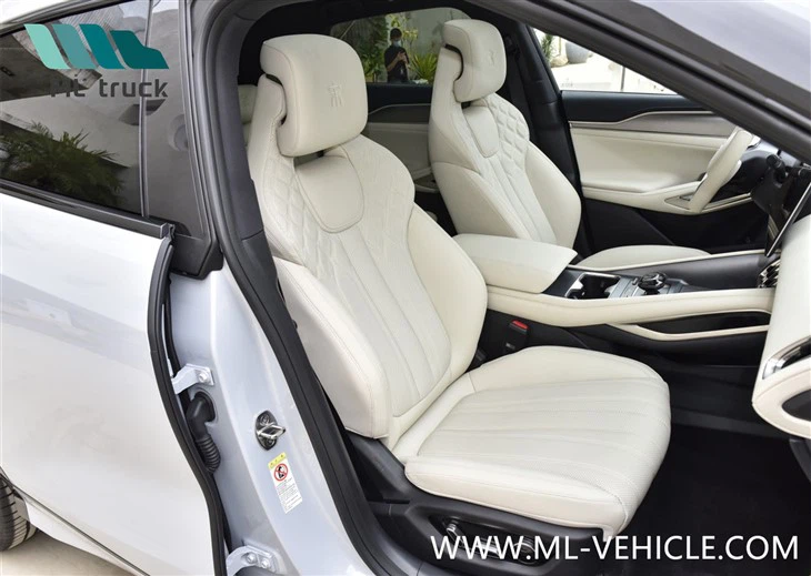 BYD Song L EV