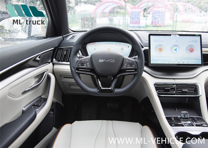 BYD SONG PLUS Champion Edition DMI