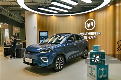 WM Motor dépose un dossier de mise en faillite