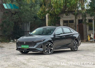 ChangAn Raeton PLUS