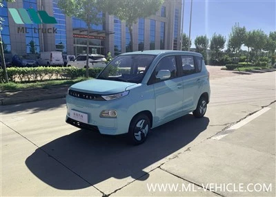 Linktour Befine EV