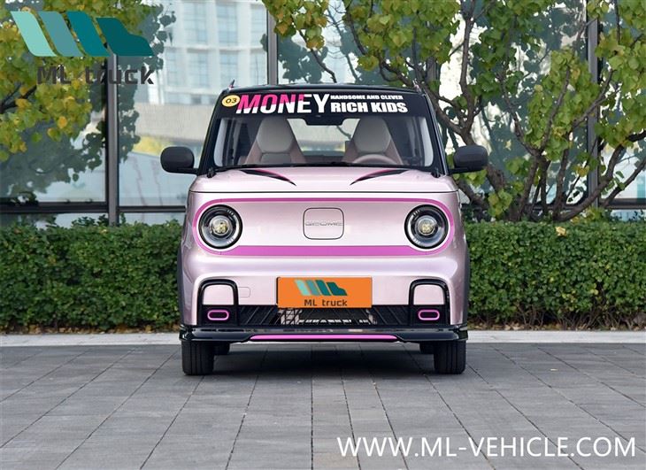 2025 Geely Panda Kart EV Car